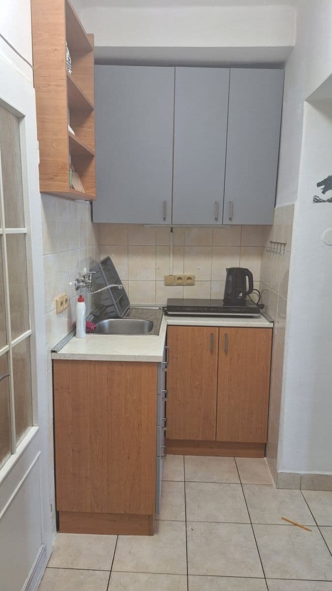 Pronájem bytu 1+kk 26 m², Borská, Plzeň, Plzeňský kraj Pronájem bytu 1+kk 26 m², Borská, Plzeň, Plzeňský kraj