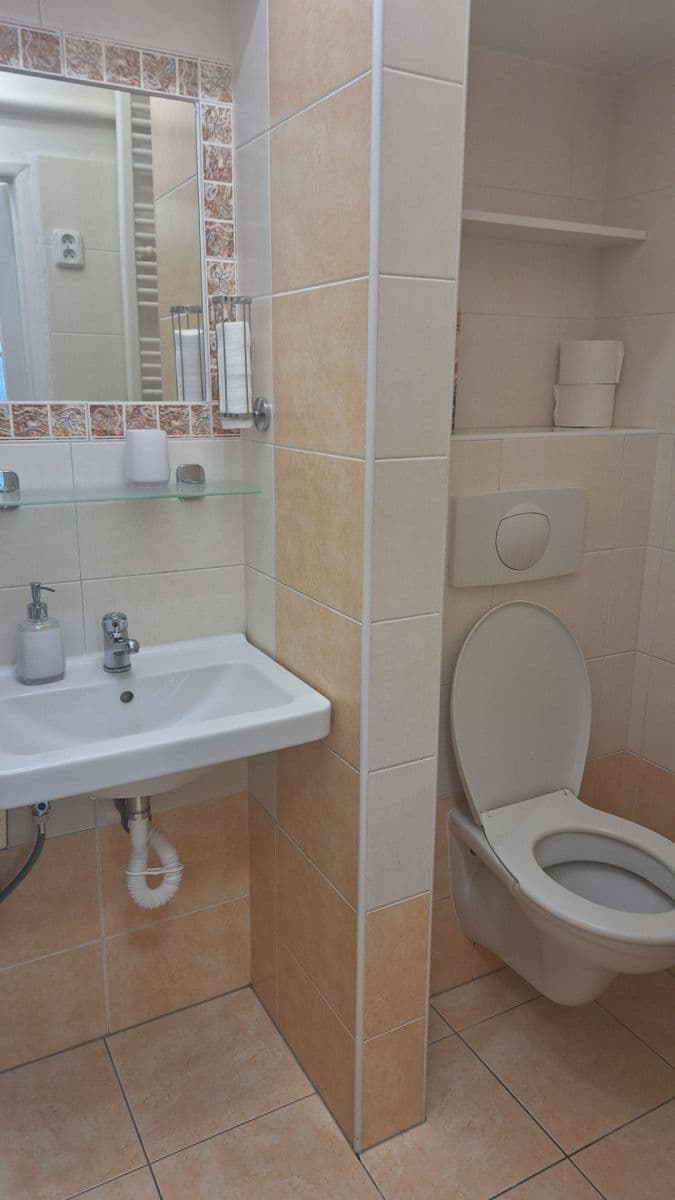 Pronájem bytu 1+kk 26 m², Borská, Plzeň, Plzeňský kraj Pronájem bytu 1+kk 26 m², Borská, Plzeň, Plzeňský kraj
