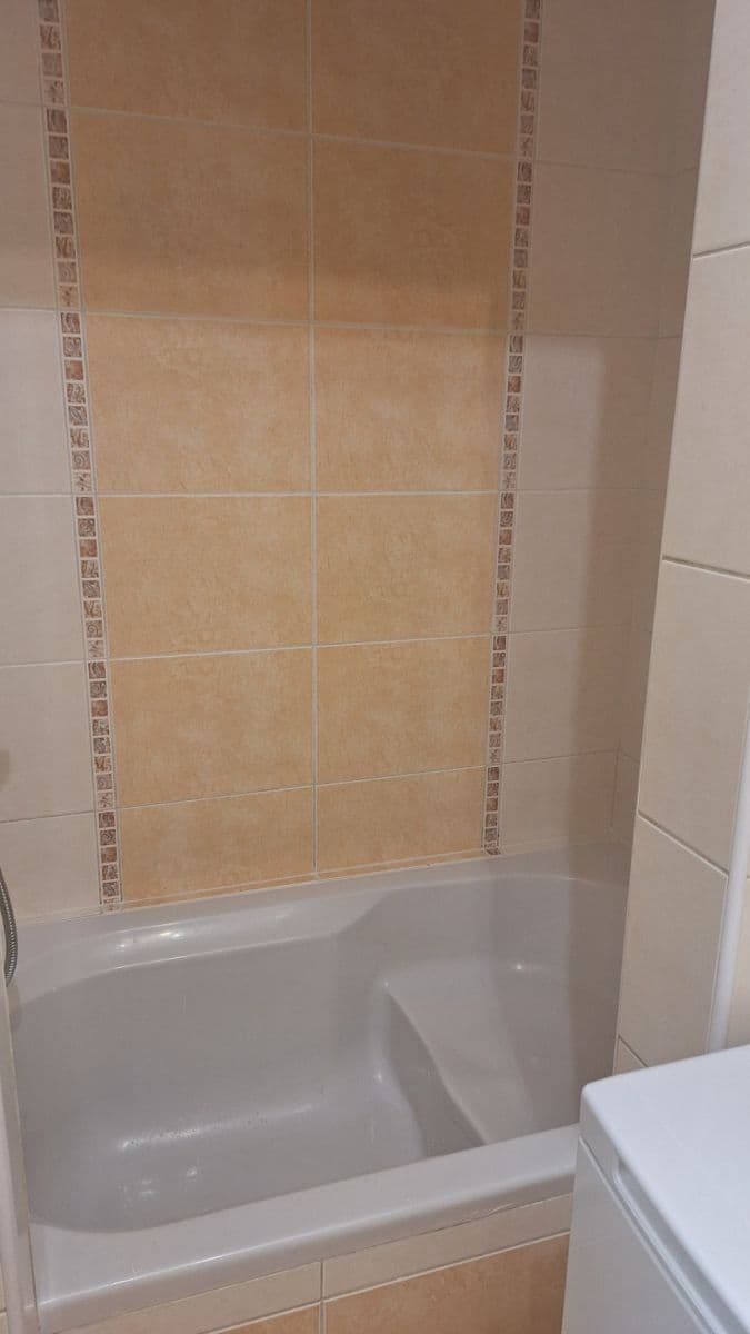 Pronájem bytu 1+kk 26 m², Borská, Plzeň, Plzeňský kraj Pronájem bytu 1+kk 26 m², Borská, Plzeň, Plzeňský kraj