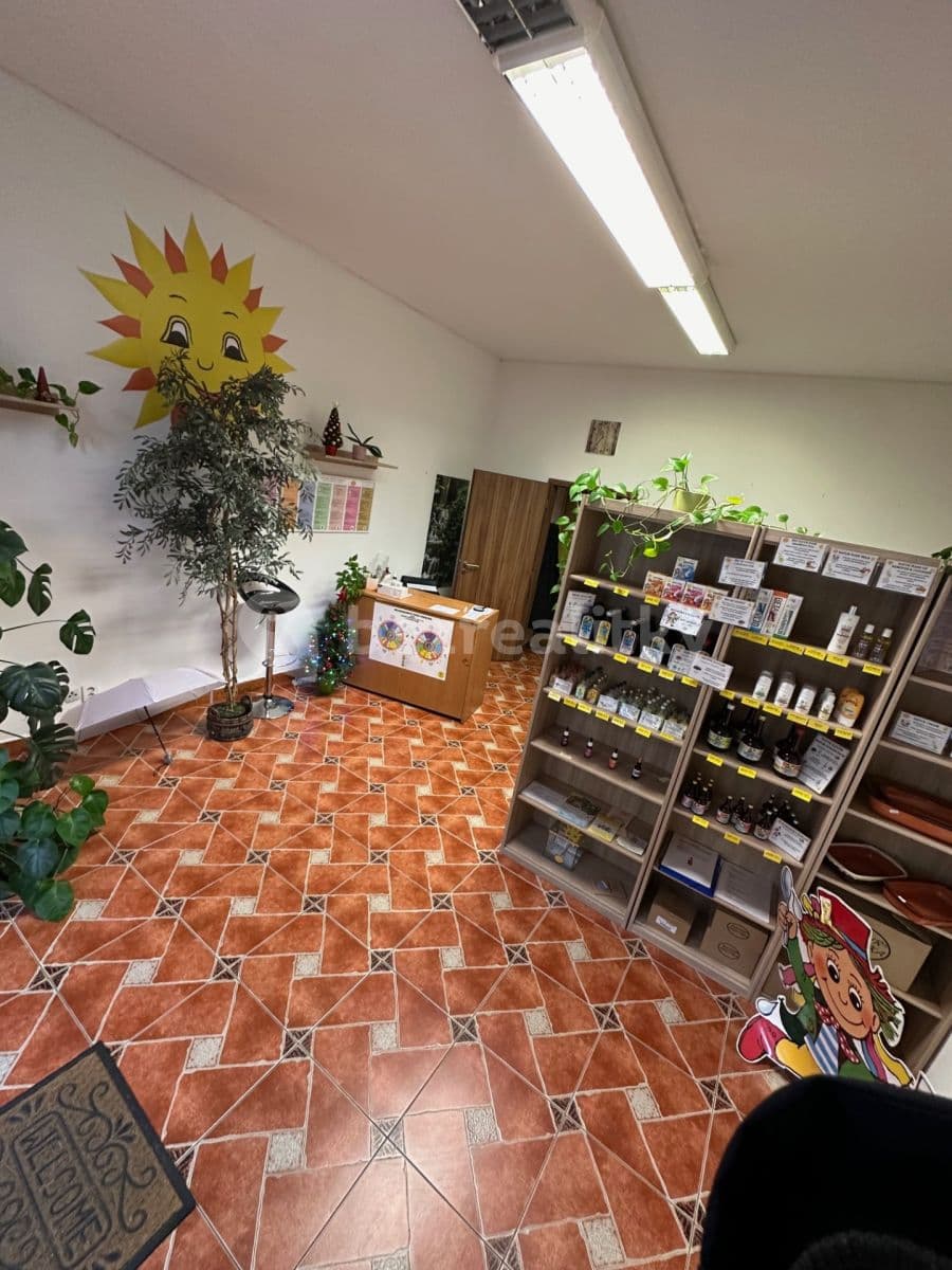 Pronájem nebytového prostoru 30 m², Čestmírova, Praha, Praha Pronájem nebytového prostoru 30 m², Čestmírova, Praha, Praha