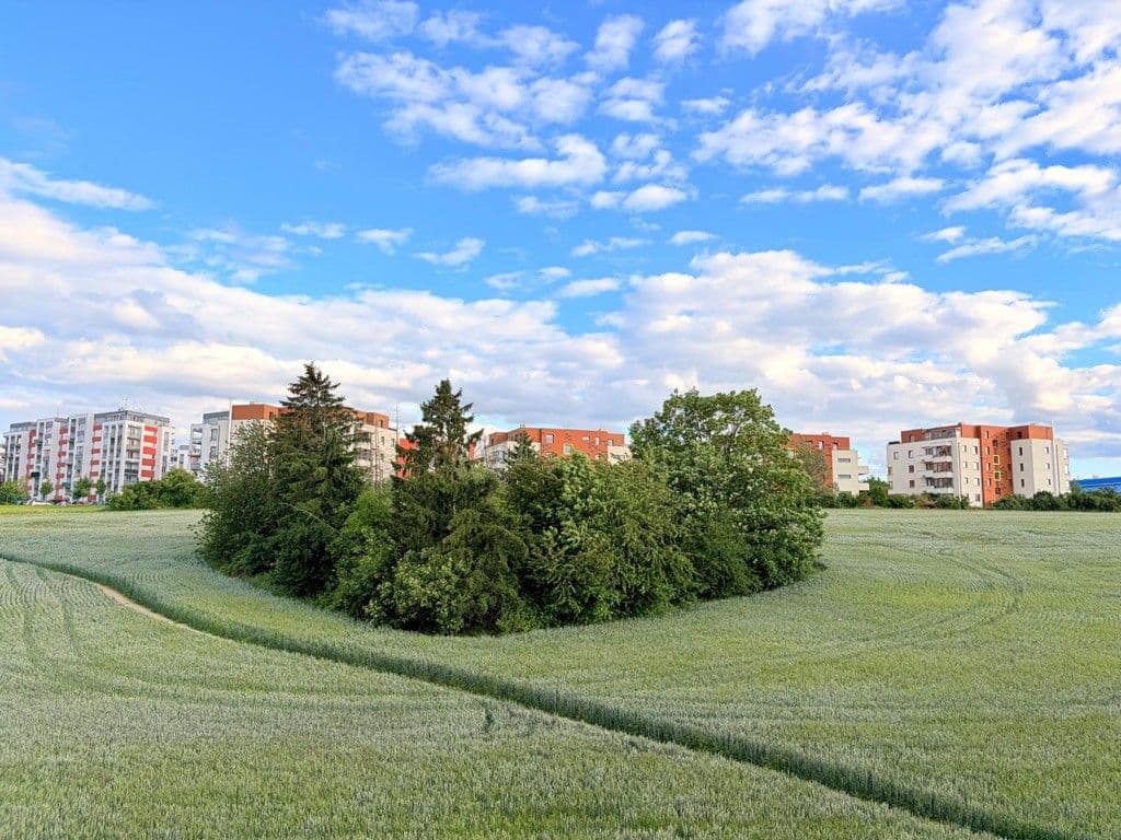 Pronájem bytu 3+kk 78 m², Lipovská, Praha, Praha Pronájem bytu 3+kk 78 m², Lipovská, Praha, Praha