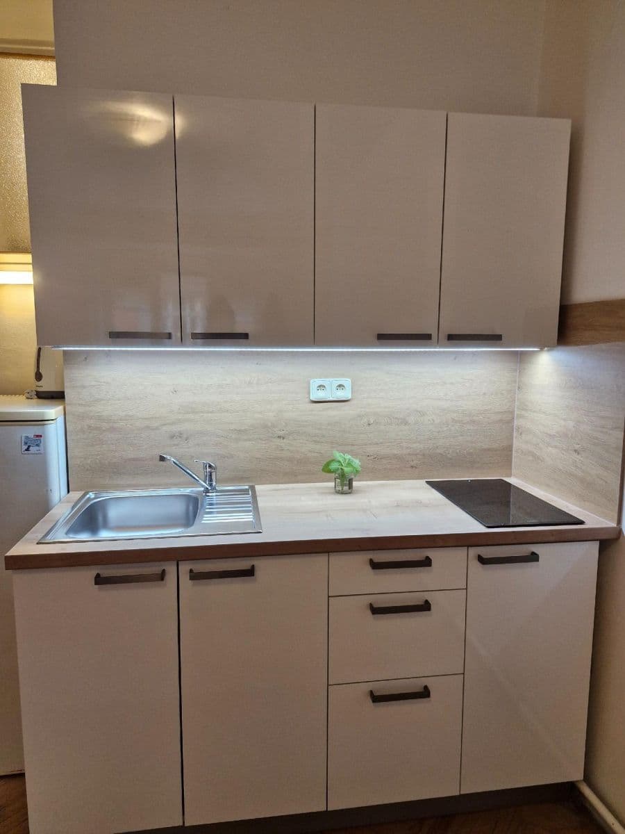 Pronájem bytu 1+kk 28 m², Husinecká, Praha, Praha Pronájem bytu 1+kk 28 m², Husinecká, Praha, Praha