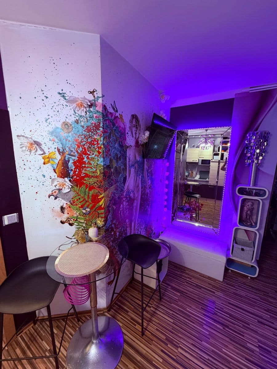 Pronájem bytu 1+kk 24 m², Koterovská, Plzeň, Plzeňský kraj Pronájem bytu 1+kk 24 m², Koterovská, Plzeň, Plzeňský kraj