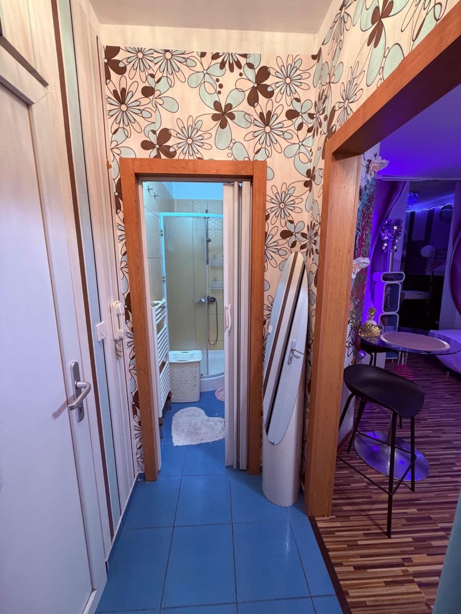 Pronájem bytu 1+kk 24 m², Koterovská, Plzeň, Plzeňský kraj Pronájem bytu 1+kk 24 m², Koterovská, Plzeň, Plzeňský kraj