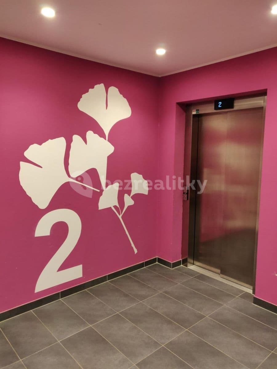 Pronájem bytu 2+kk 50 m², Makedonská, Praha, Praha Pronájem bytu 2+kk 50 m², Makedonská, Praha, Praha