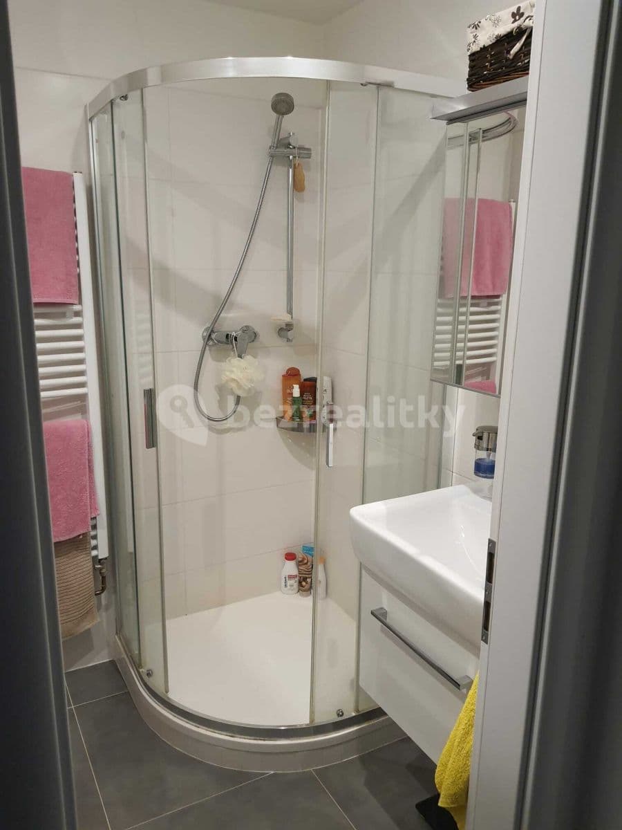 Pronájem bytu 1+1 36 m², Budovatelská, Ostrava, Moravskoslezský kraj Pronájem bytu 1+1 36 m², Budovatelská, Ostrava, Moravskoslezský kraj