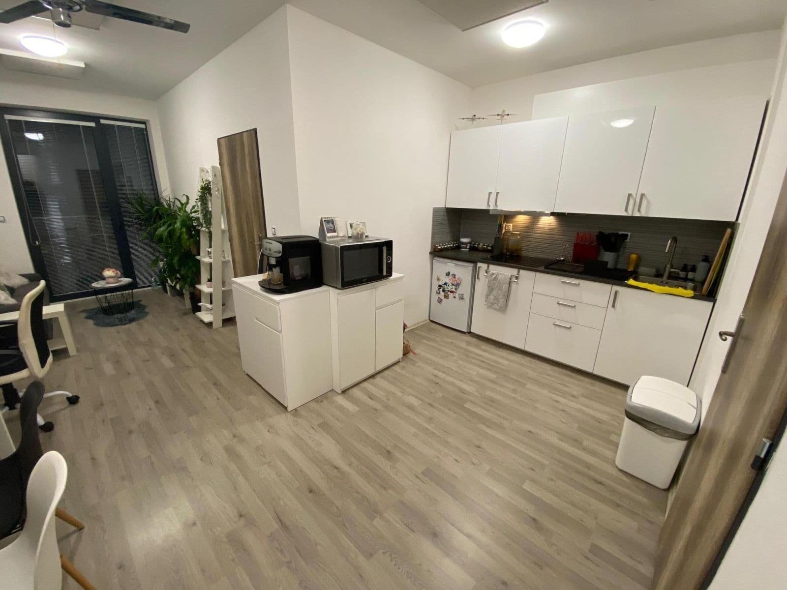 Pronájem bytu 2+kk 33 m², Bělohorská, Brno, Jihomoravský kraj Pronájem bytu 2+kk 33 m², Bělohorská, Brno, Jihomoravský kraj