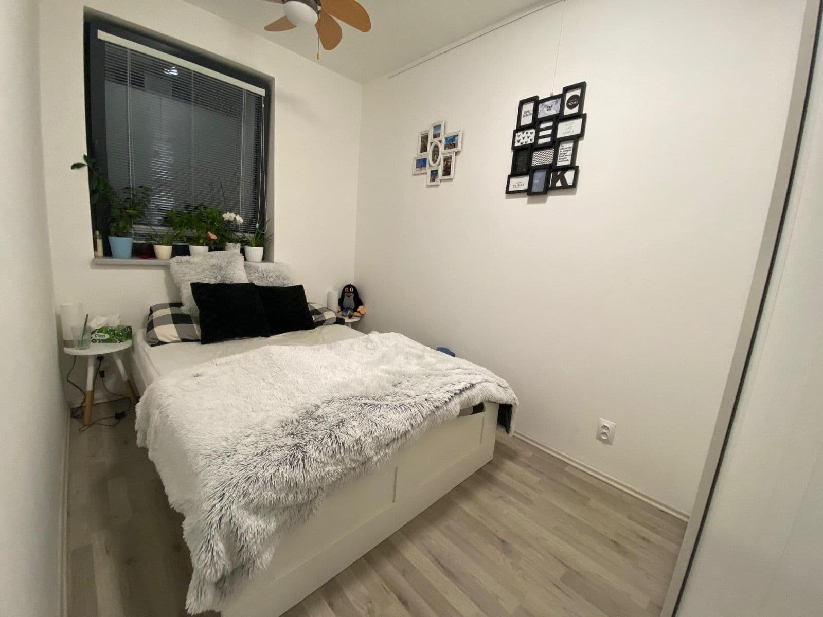 Pronájem bytu 2+kk 33 m², Bělohorská, Brno, Jihomoravský kraj Pronájem bytu 2+kk 33 m², Bělohorská, Brno, Jihomoravský kraj