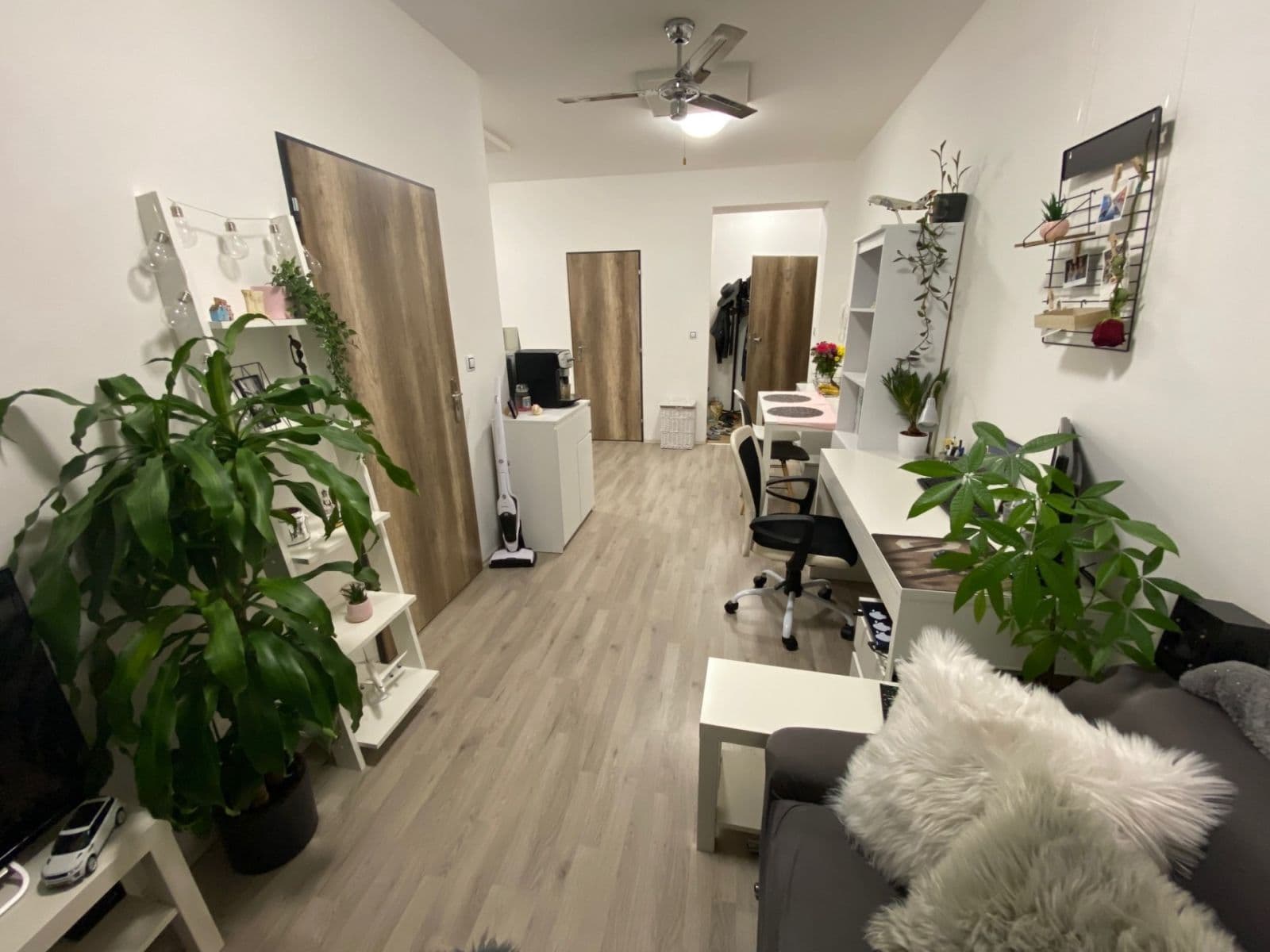 Pronájem bytu 2+kk 33 m², Bělohorská, Brno, Jihomoravský kraj Pronájem bytu 2+kk 33 m², Bělohorská, Brno, Jihomoravský kraj