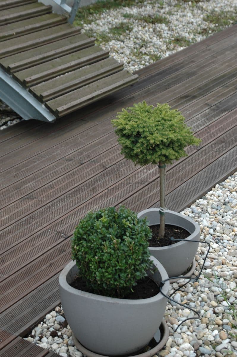 Pronájem bytu 3+kk 75 m², Hegerova, Ostrava, Moravskoslezský kraj Pronájem bytu 3+kk 75 m², Hegerova, Ostrava, Moravskoslezský kraj