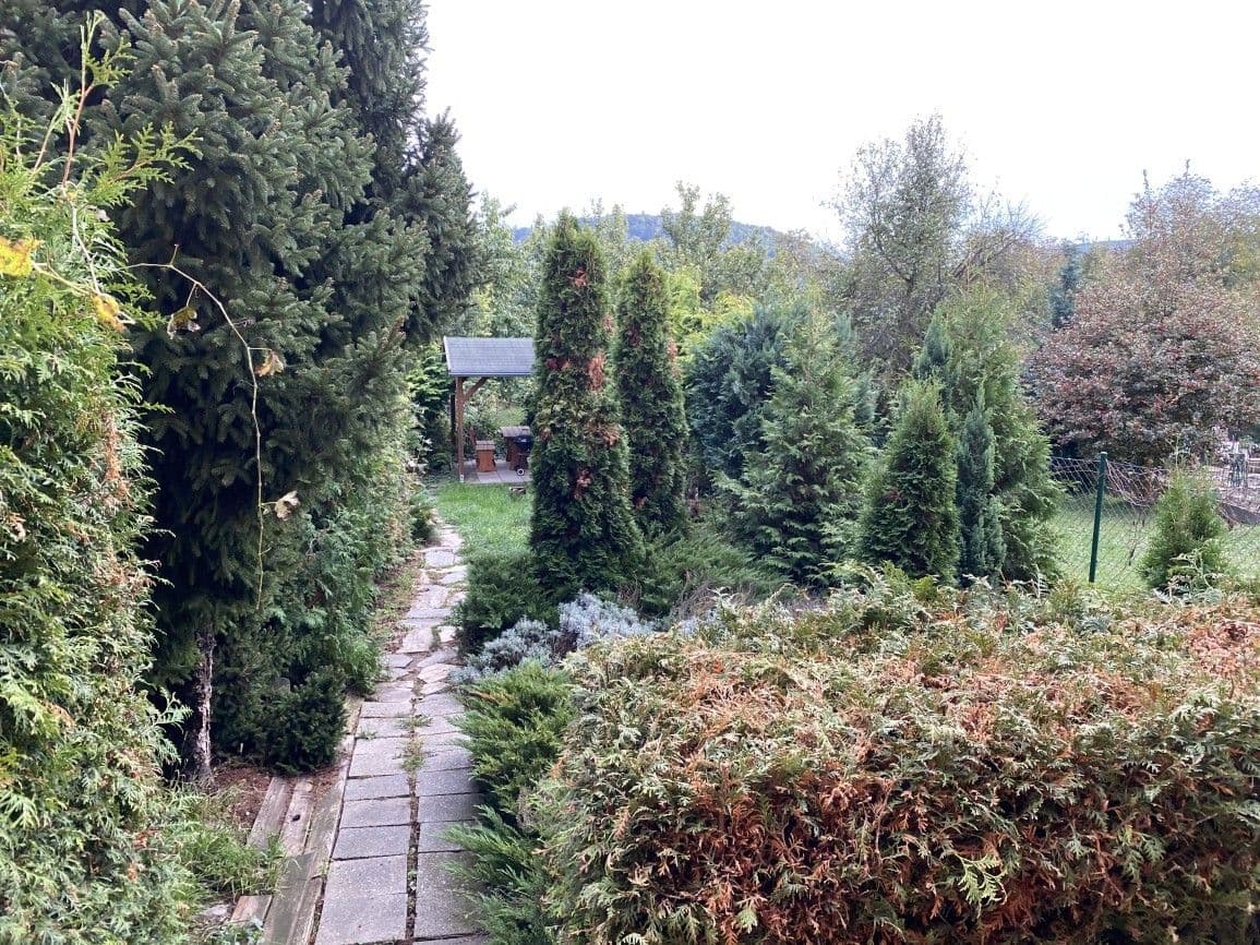Pronájem bytu 1+kk 34 m², Kroftova, Brno, Jihomoravský kraj Pronájem bytu 1+kk 34 m², Kroftova, Brno, Jihomoravský kraj