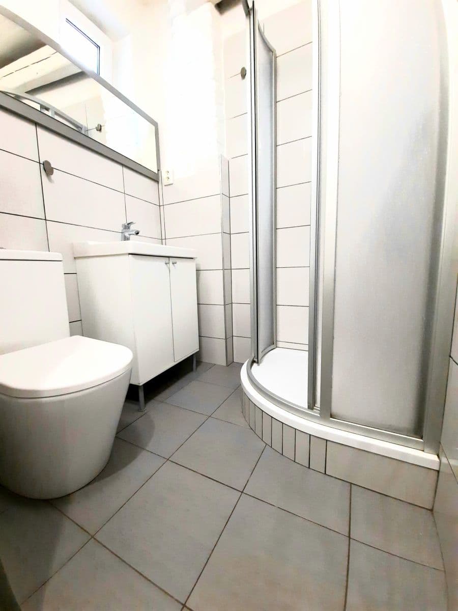 Pronájem bytu 1+kk 16 m², Vlkova, Praha, Praha Pronájem bytu 1+kk 16 m², Vlkova, Praha, Praha