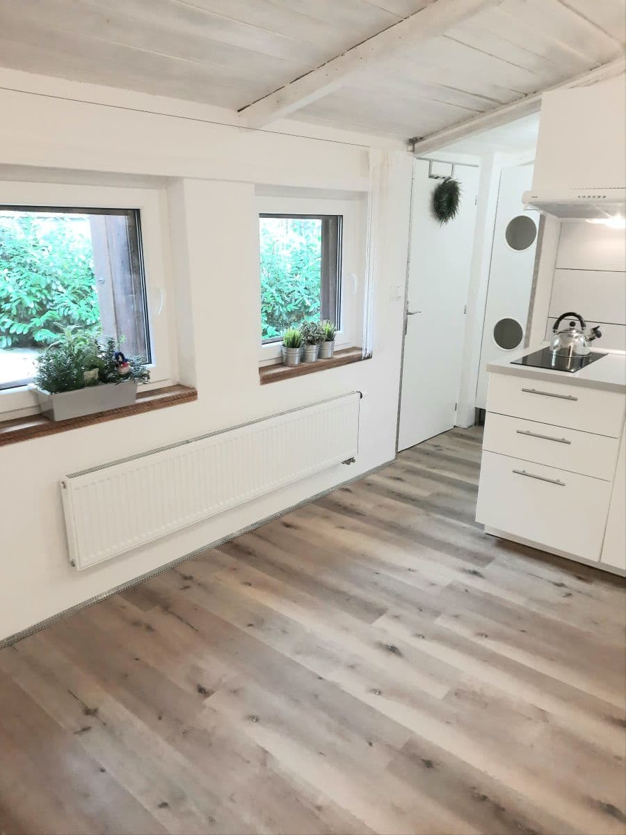 Pronájem bytu 1+kk 16 m², Vlkova, Praha, Praha Pronájem bytu 1+kk 16 m², Vlkova, Praha, Praha