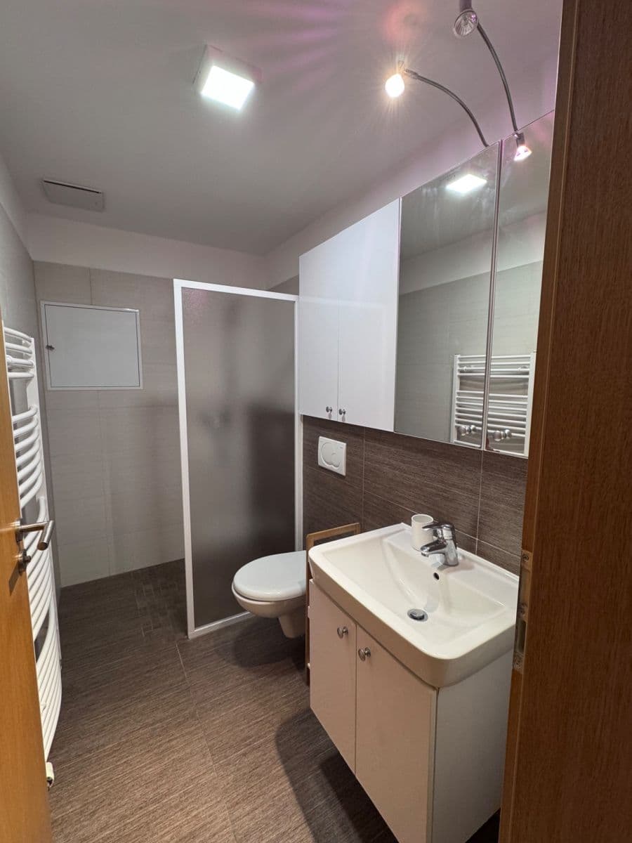 Pronájem bytu 1+kk 38 m², Vinohrady, Brno, Jihomoravský kraj Pronájem bytu 1+kk 38 m², Vinohrady, Brno, Jihomoravský kraj