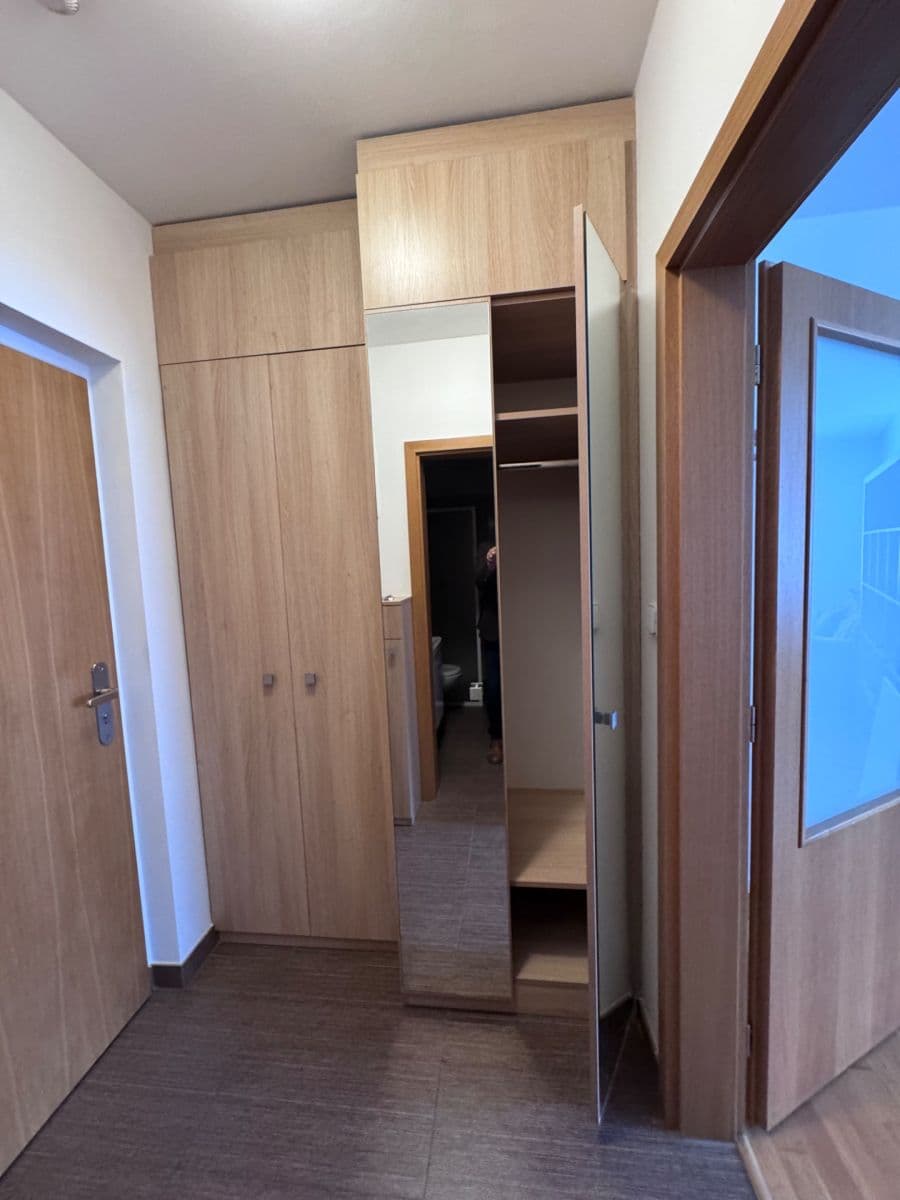 Pronájem bytu 1+kk 38 m², Vinohrady, Brno, Jihomoravský kraj Pronájem bytu 1+kk 38 m², Vinohrady, Brno, Jihomoravský kraj