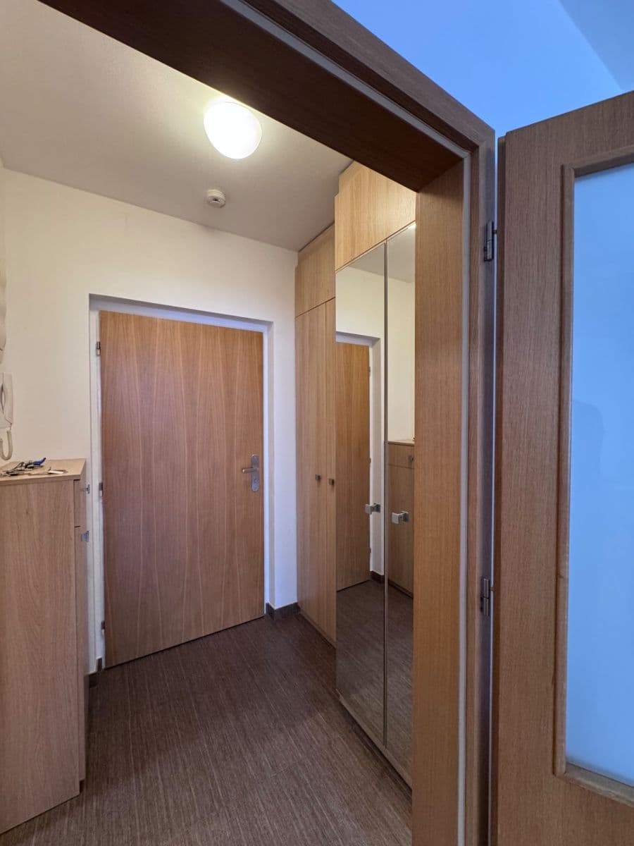Pronájem bytu 1+kk 38 m², Vinohrady, Brno, Jihomoravský kraj Pronájem bytu 1+kk 38 m², Vinohrady, Brno, Jihomoravský kraj