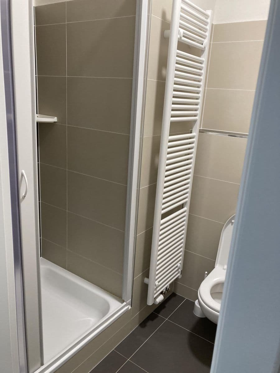 Pronájem bytu 1+kk 28 m², Technická, Plzeň, Plzeňský kraj Pronájem bytu 1+kk 28 m², Technická, Plzeň, Plzeňský kraj