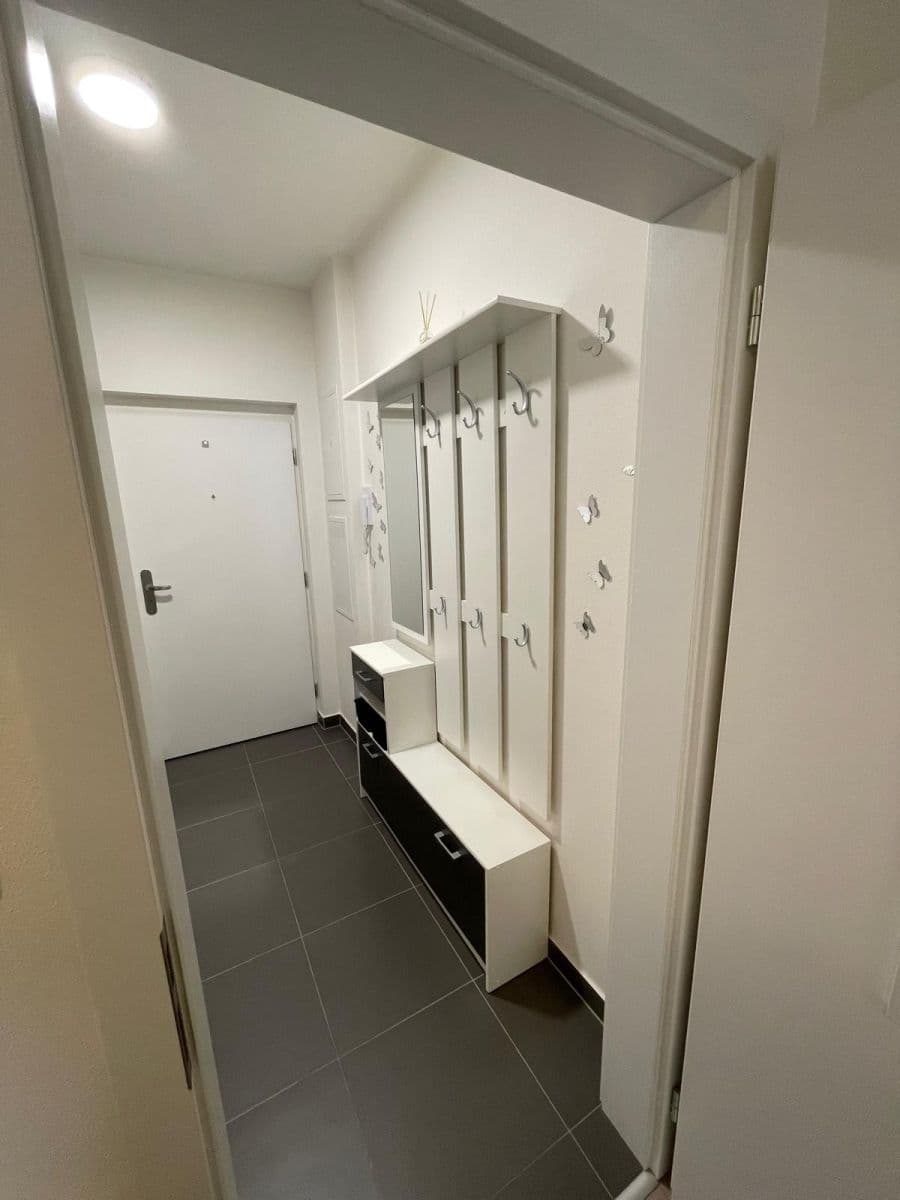 Pronájem bytu 1+kk 28 m², Technická, Plzeň, Plzeňský kraj Pronájem bytu 1+kk 28 m², Technická, Plzeň, Plzeňský kraj