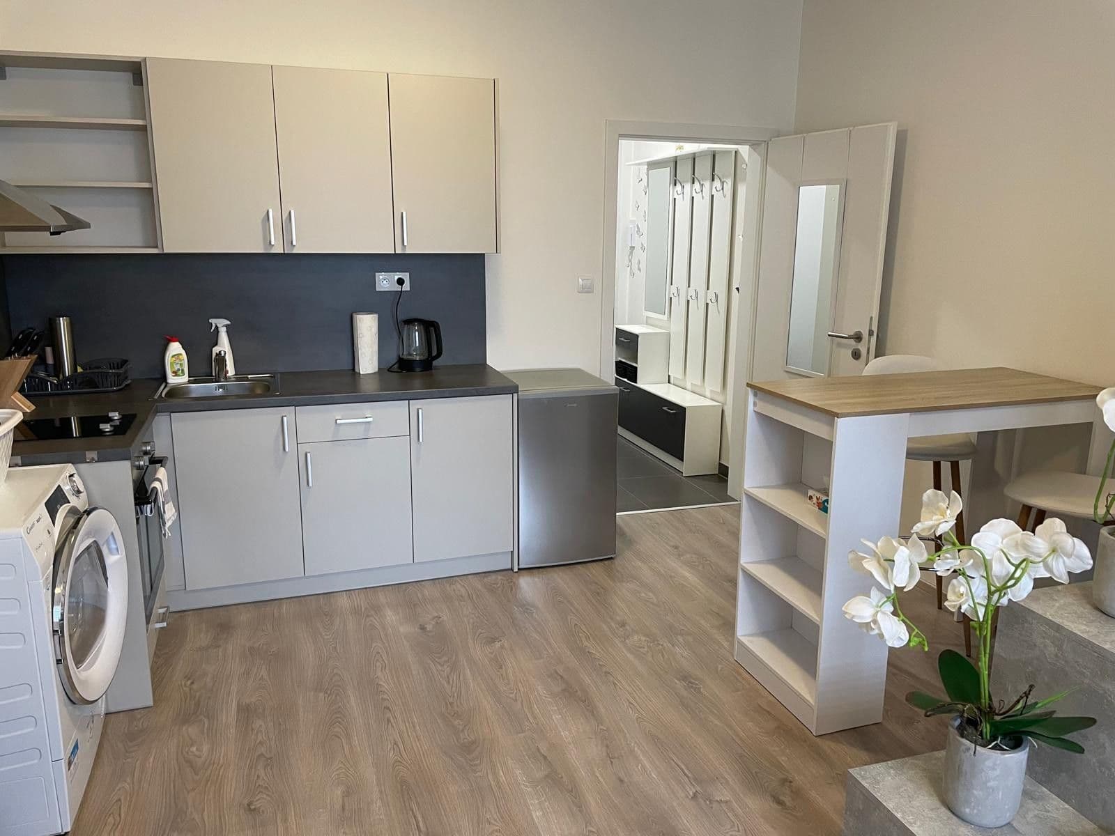 Pronájem bytu 1+kk 28 m², Technická, Plzeň, Plzeňský kraj Pronájem bytu 1+kk 28 m², Technická, Plzeň, Plzeňský kraj