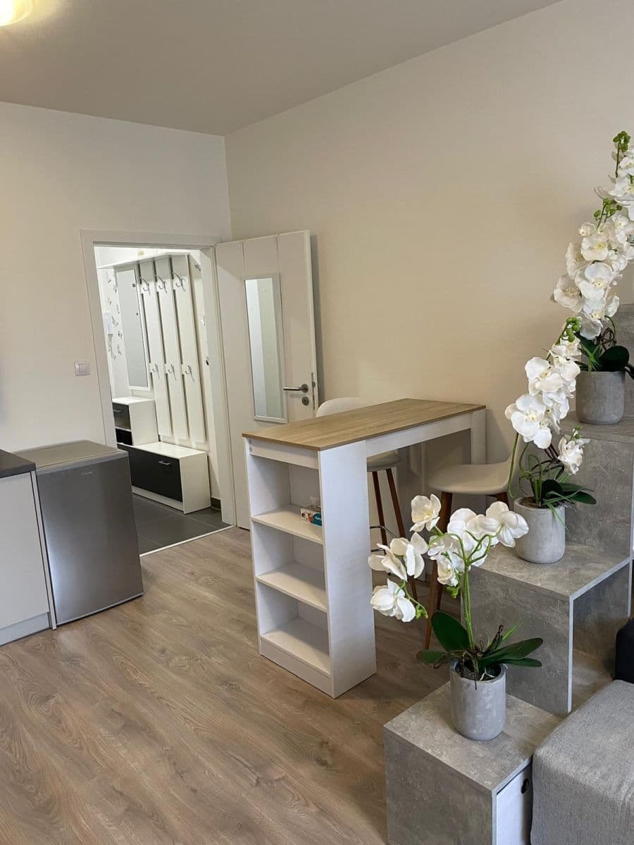 Pronájem bytu 1+kk 28 m², Technická, Plzeň, Plzeňský kraj Pronájem bytu 1+kk 28 m², Technická, Plzeň, Plzeňský kraj