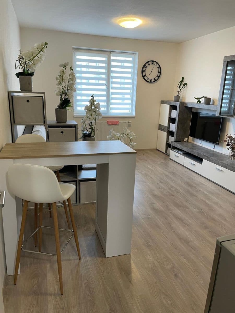 Pronájem bytu 1+kk 28 m², Technická, Plzeň, Plzeňský kraj Pronájem bytu 1+kk 28 m², Technická, Plzeň, Plzeňský kraj