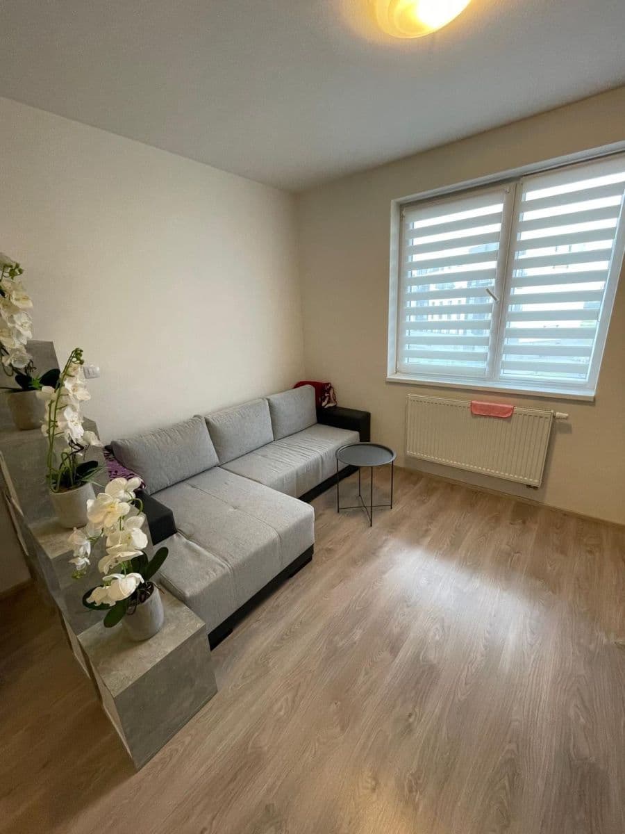 Pronájem bytu 1+kk 28 m², Technická, Plzeň, Plzeňský kraj Pronájem bytu 1+kk 28 m², Technická, Plzeň, Plzeňský kraj