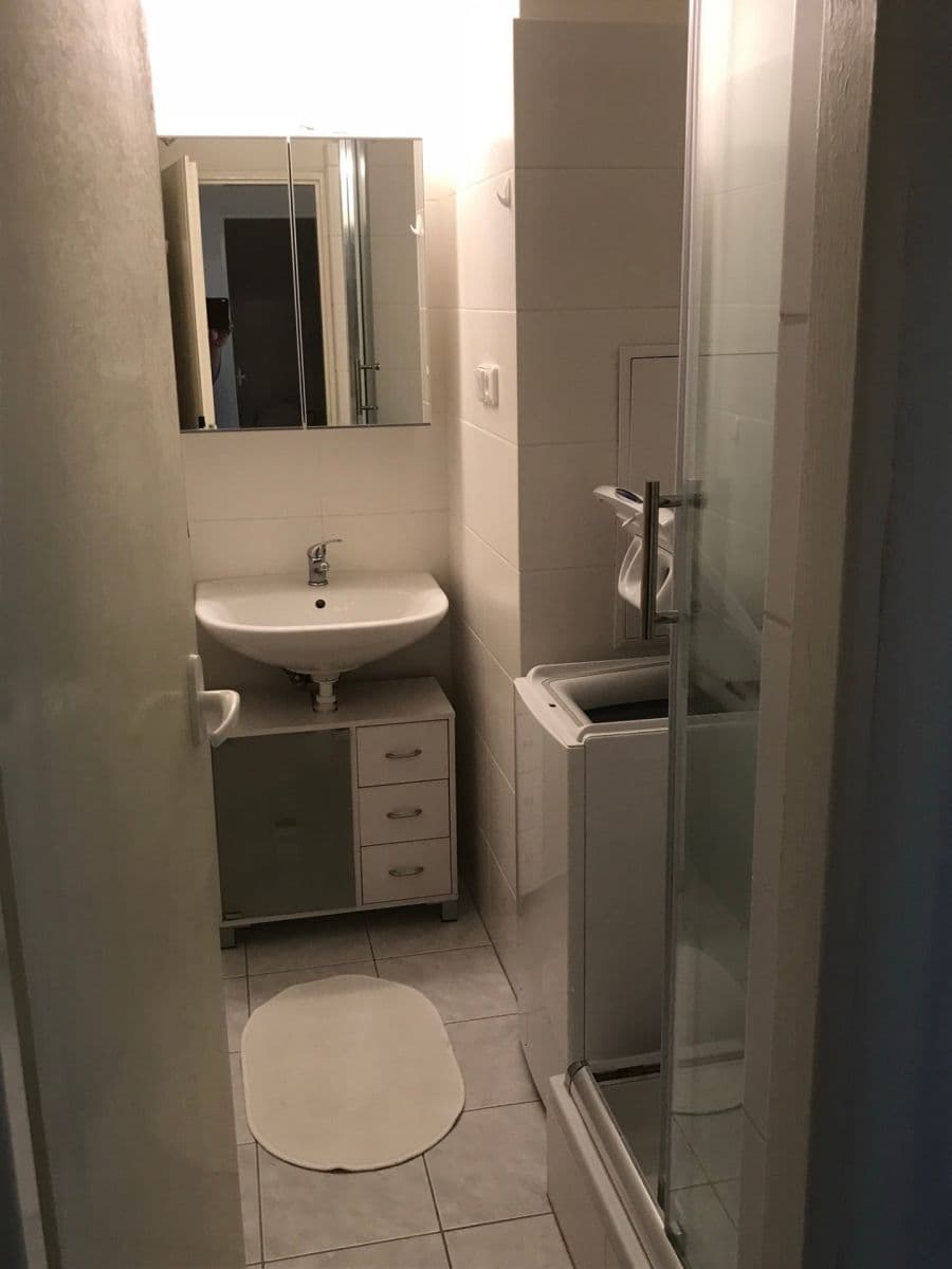 Pronájem bytu 1+1 35 m², Fričova, Praha, Praha Pronájem bytu 1+1 35 m², Fričova, Praha, Praha