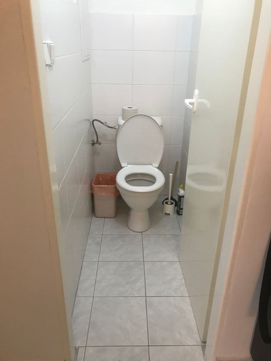 Pronájem bytu 1+1 35 m², Fričova, Praha, Praha Pronájem bytu 1+1 35 m², Fričova, Praha, Praha