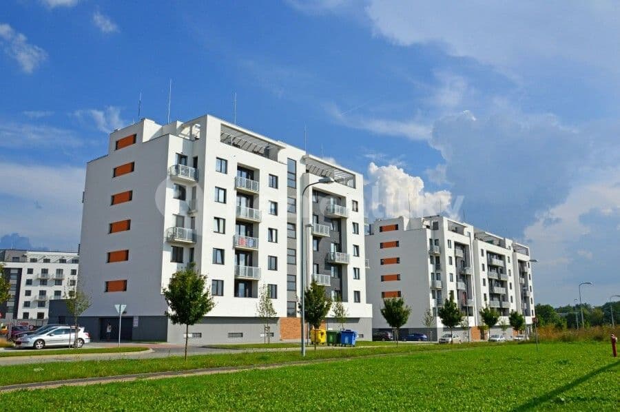 Pronájem bytu 2+1 51 m², Technická, Plzeň, Plzeňský kraj Pronájem bytu 2+1 51 m², Technická, Plzeň, Plzeňský kraj