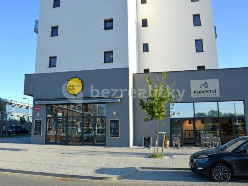 Pronájem bytu 2+1 51 m², Technická, Plzeň, Plzeňský kraj Pronájem bytu 2+1 51 m², Technická, Plzeň, Plzeňský kraj