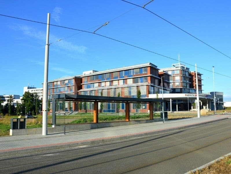 Pronájem bytu 2+1 51 m², Technická, Plzeň, Plzeňský kraj Pronájem bytu 2+1 51 m², Technická, Plzeň, Plzeňský kraj