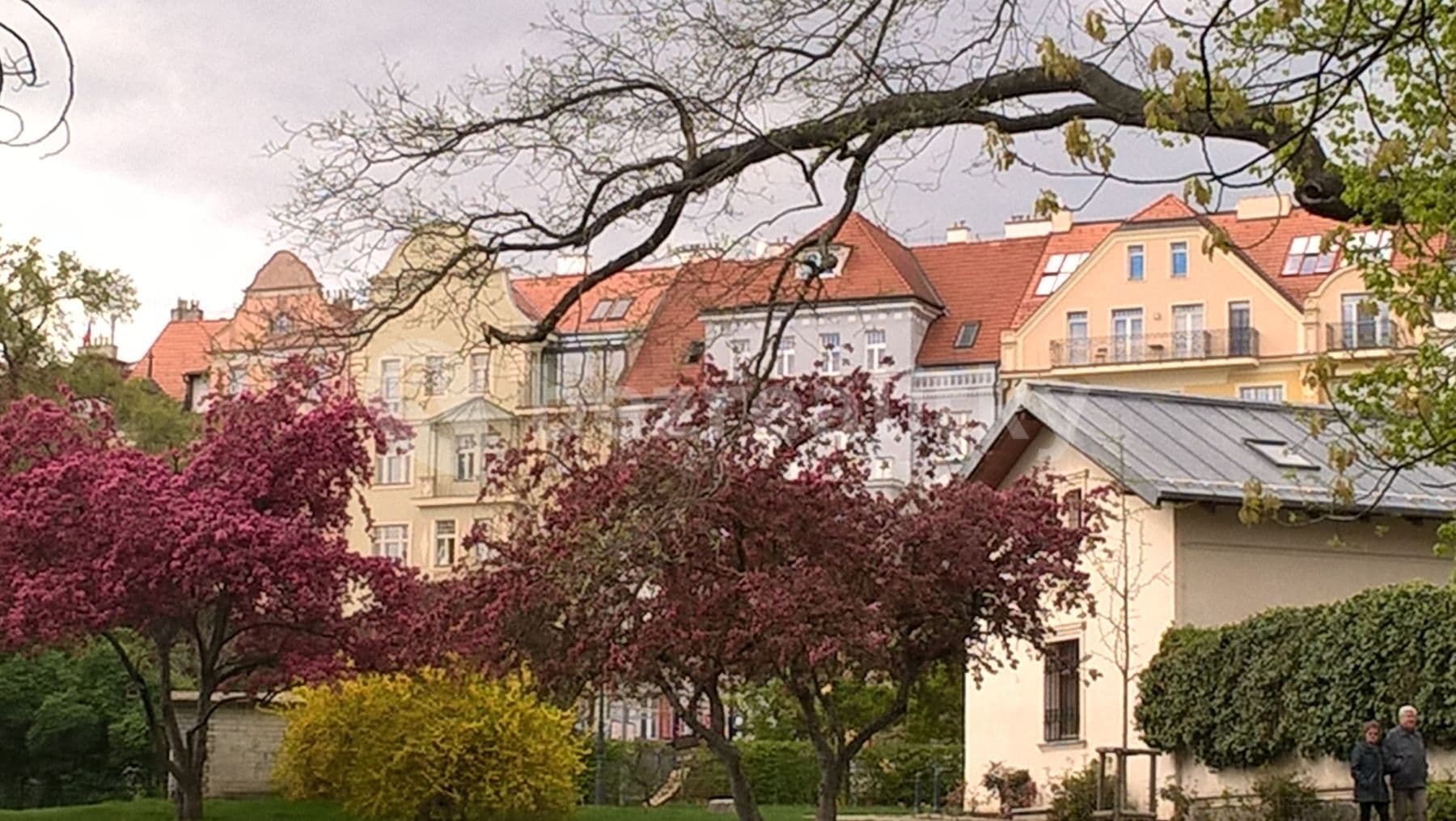Pronájem bytu Garsoniéra 35 m², U Havlíčkových sadů, Praha, Praha Pronájem bytu Garsoniéra 35 m², U Havlíčkových sadů, Praha, Praha