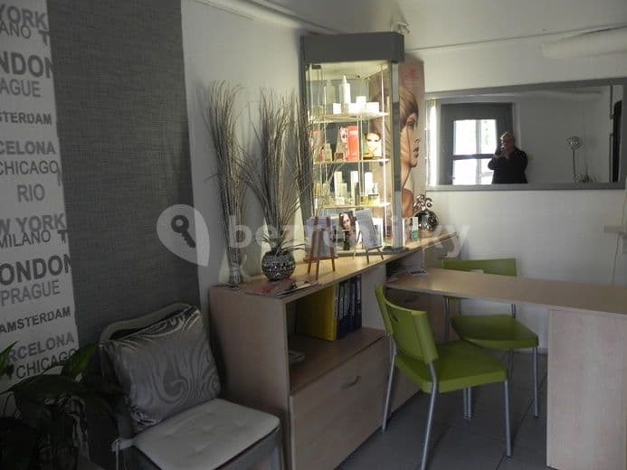 Pronájem nebytového prostoru 20 m², Dětská, Praha, Praha Pronájem nebytového prostoru 20 m², Dětská, Praha, Praha