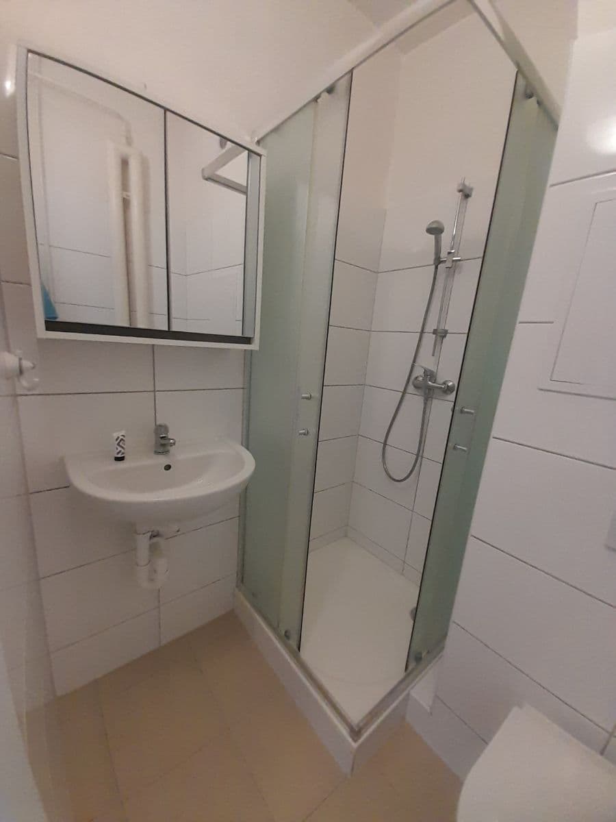 Pronájem bytu 1+kk 24 m², Halasovo náměstí, Brno, Jihomoravský kraj Pronájem bytu 1+kk 24 m², Halasovo náměstí, Brno, Jihomoravský kraj