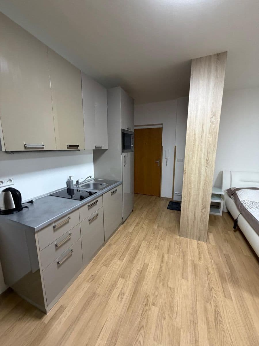 Pronájem bytu 1+kk 30 m², Konojedská, Praha, Praha Pronájem bytu 1+kk 30 m², Konojedská, Praha, Praha