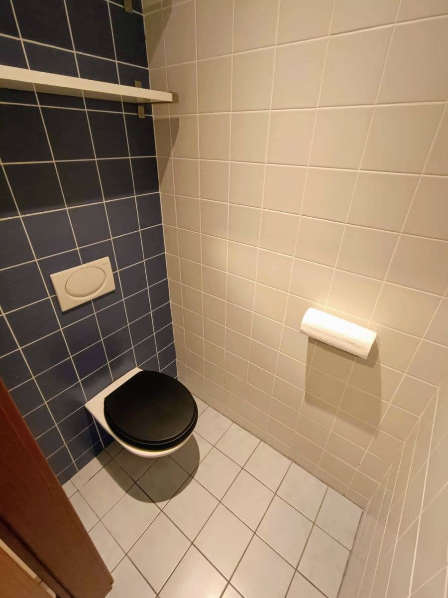 Pronájem bytu 3+kk 90 m², Klapkova, Praha, Praha Pronájem bytu 3+kk 90 m², Klapkova, Praha, Praha