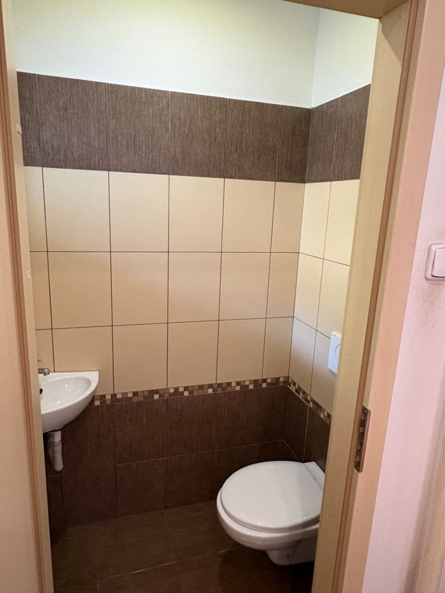 Pronájem bytu 1+1 55 m², Mezidomí, Ústí nad Labem, Ústecký kraj Pronájem bytu 1+1 55 m², Mezidomí, Ústí nad Labem, Ústecký kraj