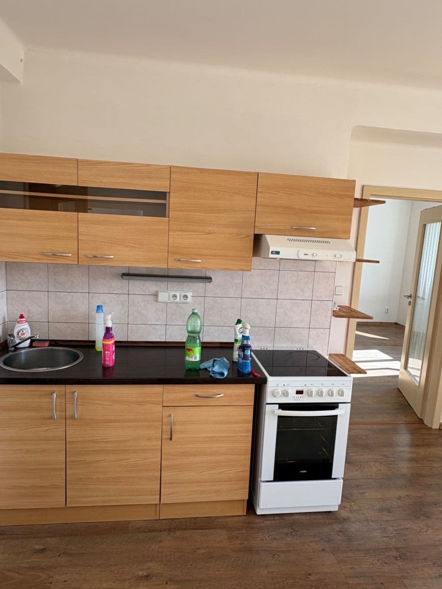 Pronájem bytu 1+1 55 m², Mezidomí, Ústí nad Labem, Ústecký kraj Pronájem bytu 1+1 55 m², Mezidomí, Ústí nad Labem, Ústecký kraj