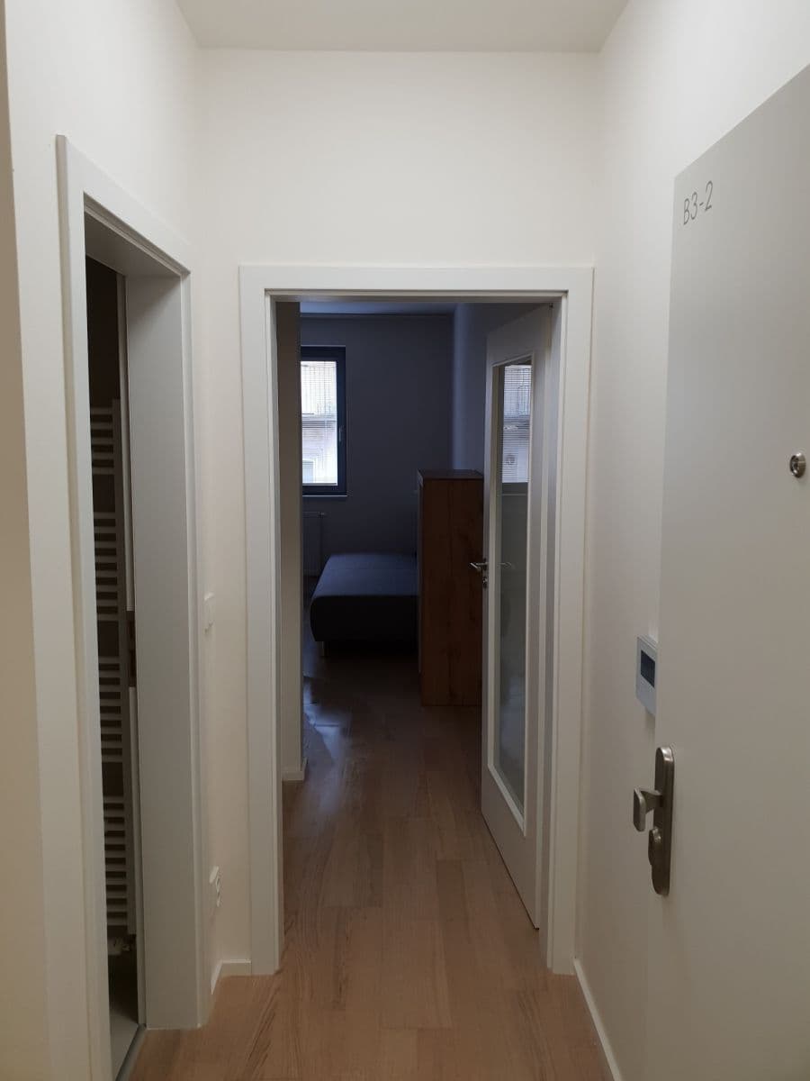 Pronájem bytu 1+kk 24 m², Mlýnská, Brno, Jihomoravský kraj Pronájem bytu 1+kk 24 m², Mlýnská, Brno, Jihomoravský kraj