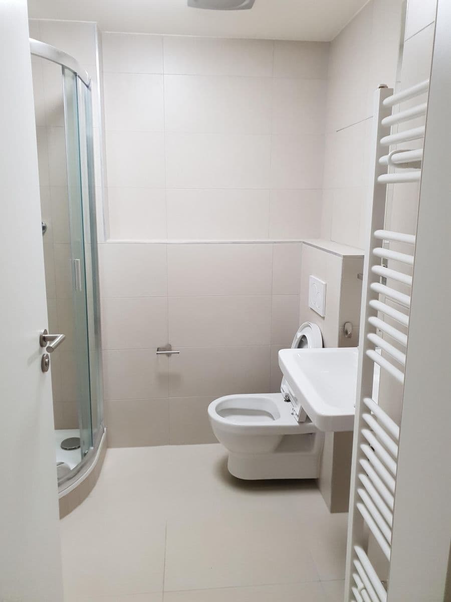 Pronájem bytu 1+kk 24 m², Mlýnská, Brno, Jihomoravský kraj Pronájem bytu 1+kk 24 m², Mlýnská, Brno, Jihomoravský kraj