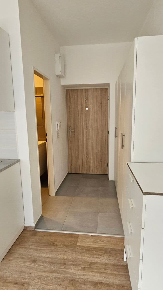 Pronájem bytu 24 m², Šárka, Brno, Jihomoravský kraj Pronájem bytu 24 m², Šárka, Brno, Jihomoravský kraj