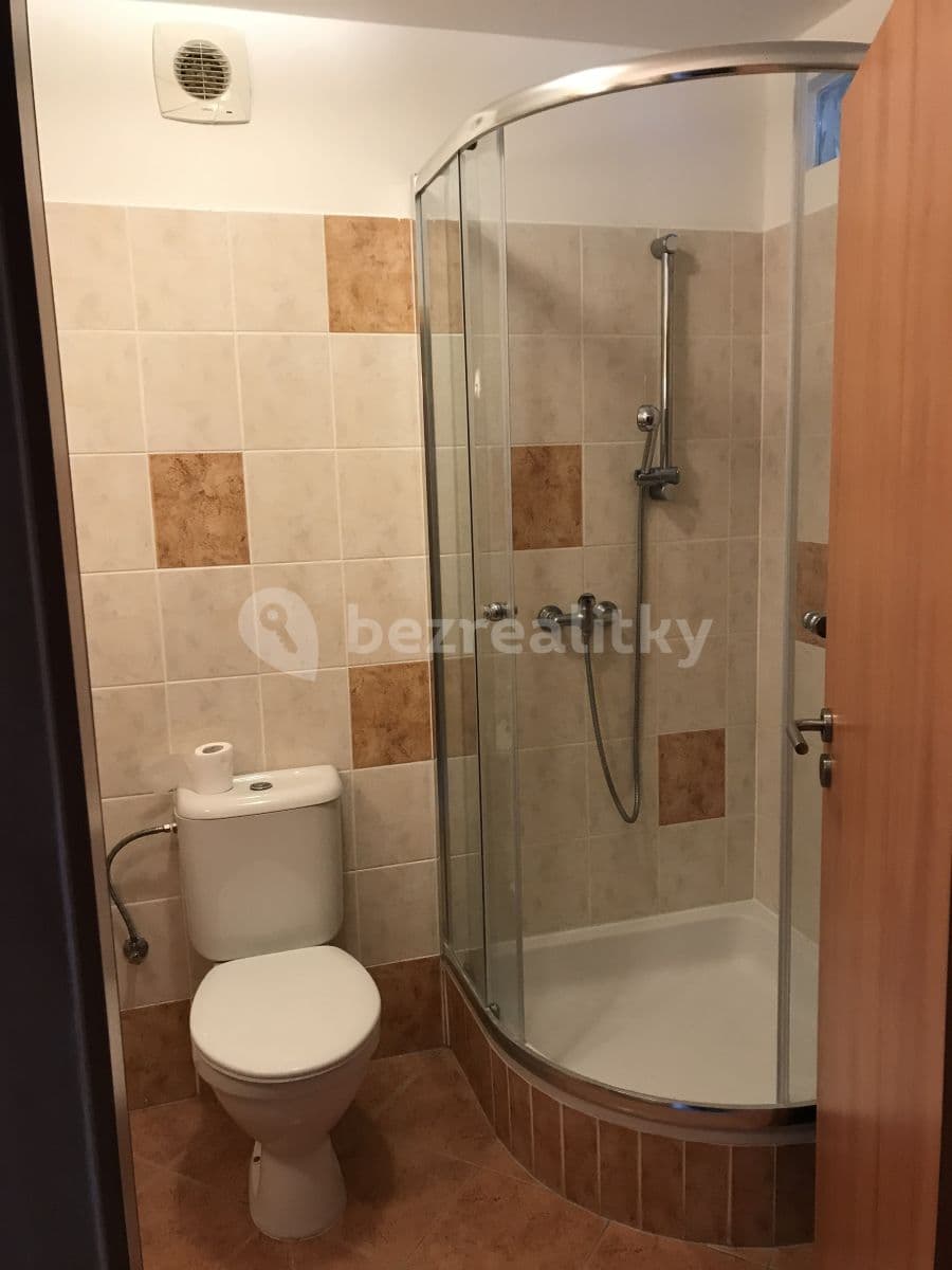 Pronájem bytu 2+kk 42 m², Říčanská, Brno, Jihomoravský kraj Pronájem bytu 2+kk 42 m², Říčanská, Brno, Jihomoravský kraj