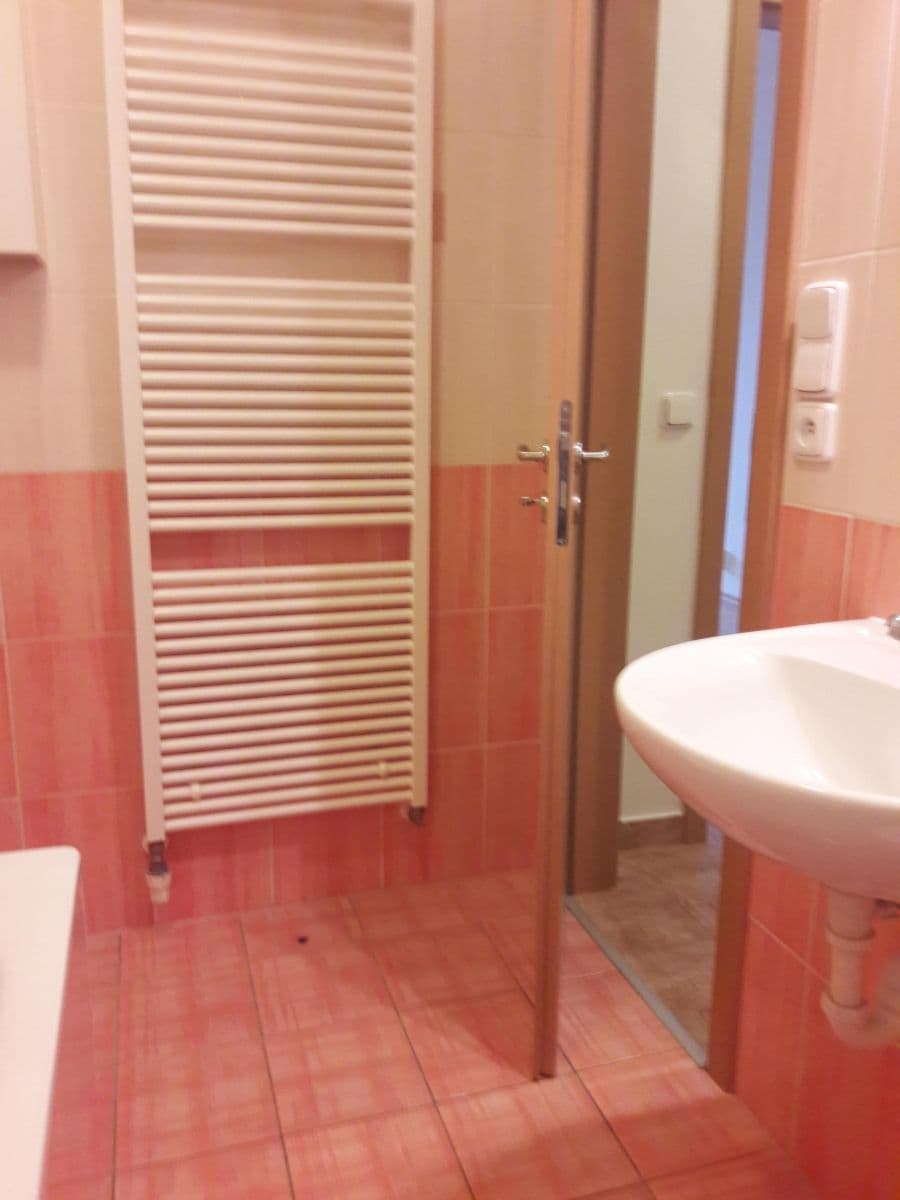 Pronájem bytu 1+kk 35 m², Okružní, Olomouc, Olomoucký kraj Pronájem bytu 1+kk 35 m², Okružní, Olomouc, Olomoucký kraj