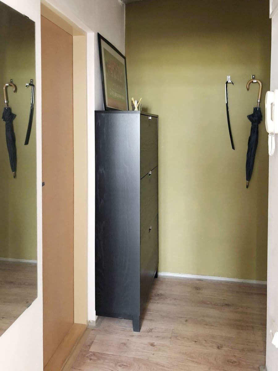 Pronájem bytu 1+kk 36 m², Havraní, Brno, Jihomoravský kraj Pronájem bytu 1+kk 36 m², Havraní, Brno, Jihomoravský kraj