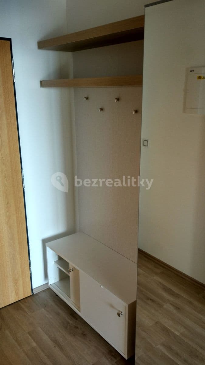 Pronájem bytu 1+kk 47 m², Řípská, Brno, Jihomoravský kraj Pronájem bytu 1+kk 47 m², Řípská, Brno, Jihomoravský kraj