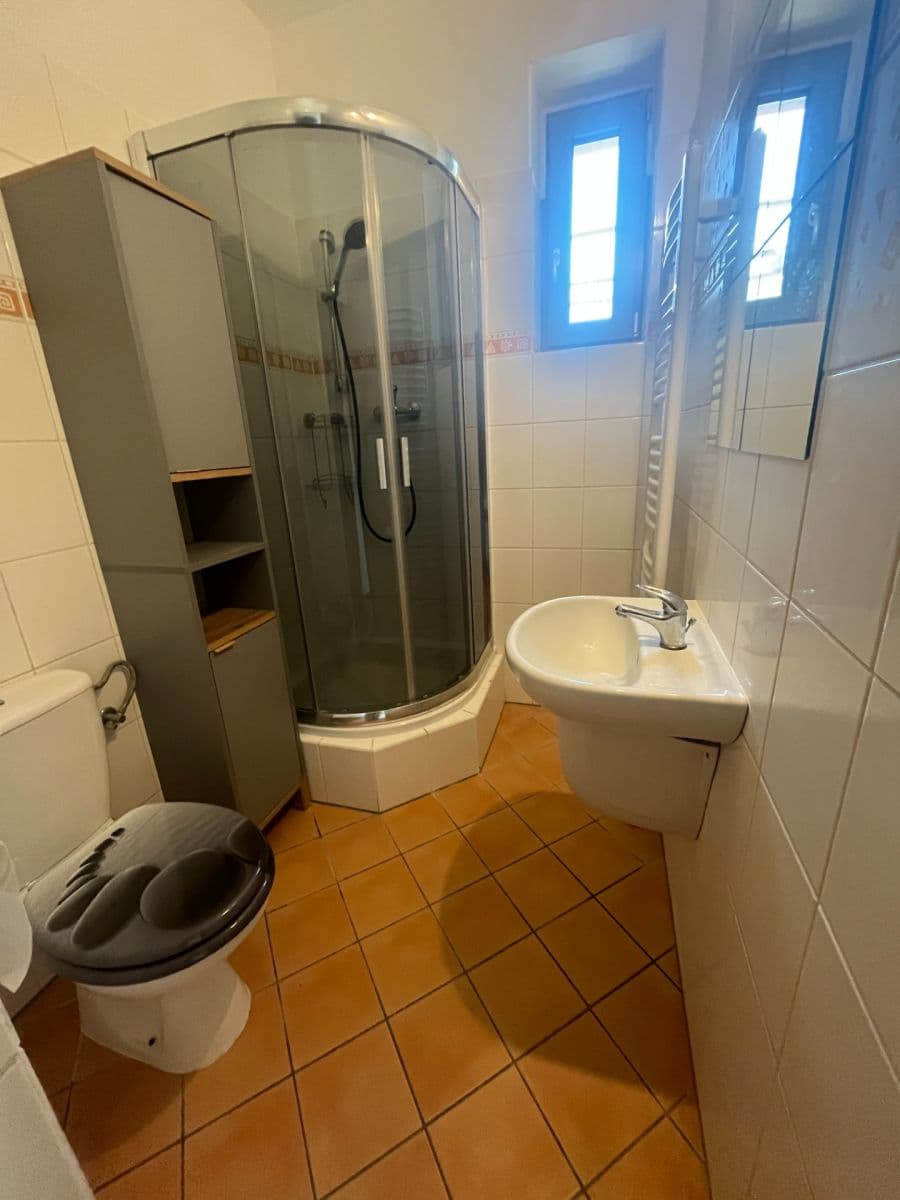 Pronájem domu 125 m², pozemek 4.000 m², 37772, Alojzov, Olomoucký kraj Pronájem domu 125 m², pozemek 4.000 m², 37772, Alojzov, Olomoucký kraj