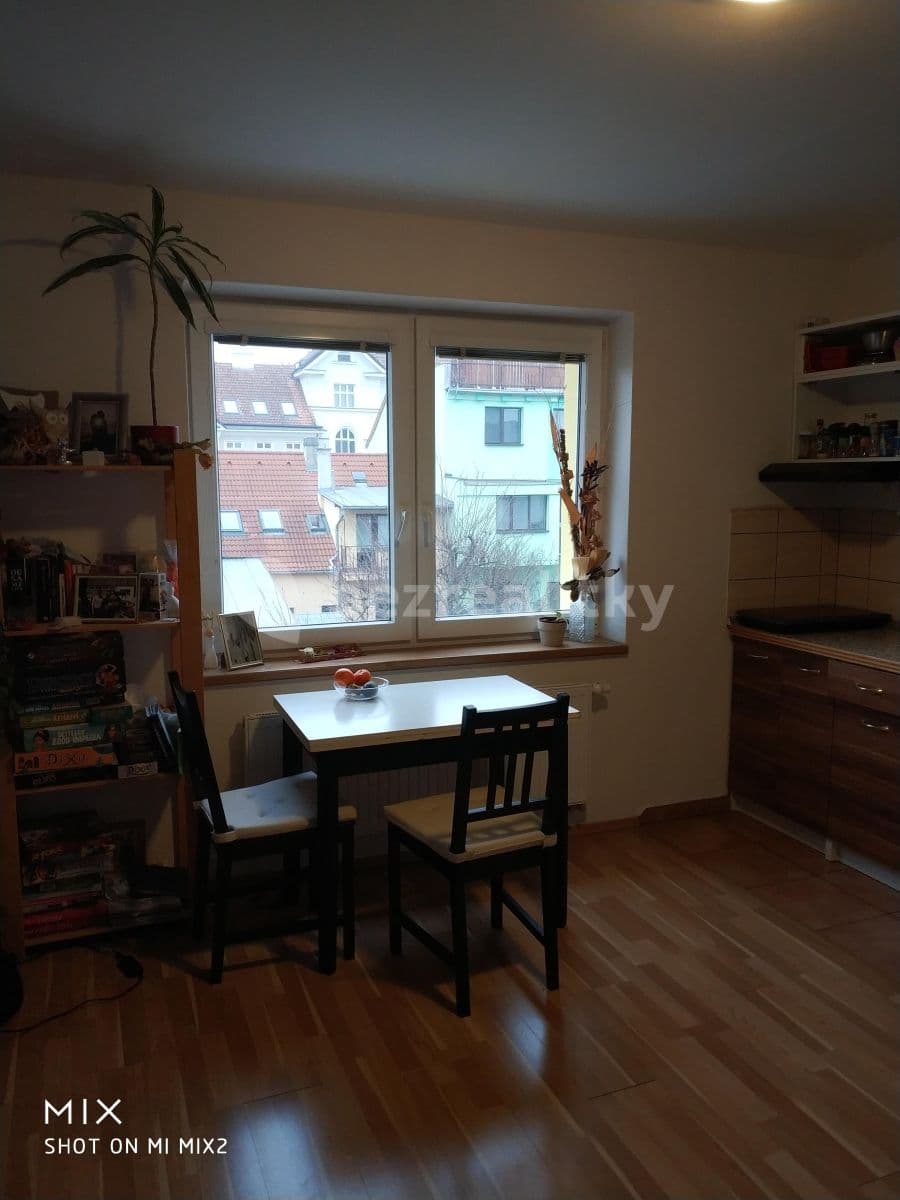 Pronájem bytu 1+kk 35 m², Jungmannova, Brno, Jihomoravský kraj Pronájem bytu 1+kk 35 m², Jungmannova, Brno, Jihomoravský kraj