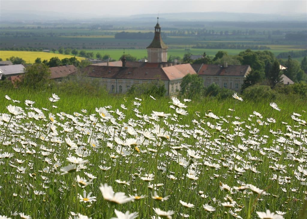 Prodej nebytového prostoru 9.800 m², Přestavlky, Přestavlky, Olomoucký kraj Prodej nebytového prostoru 9.800 m², Přestavlky, Přestavlky, Olomoucký kraj