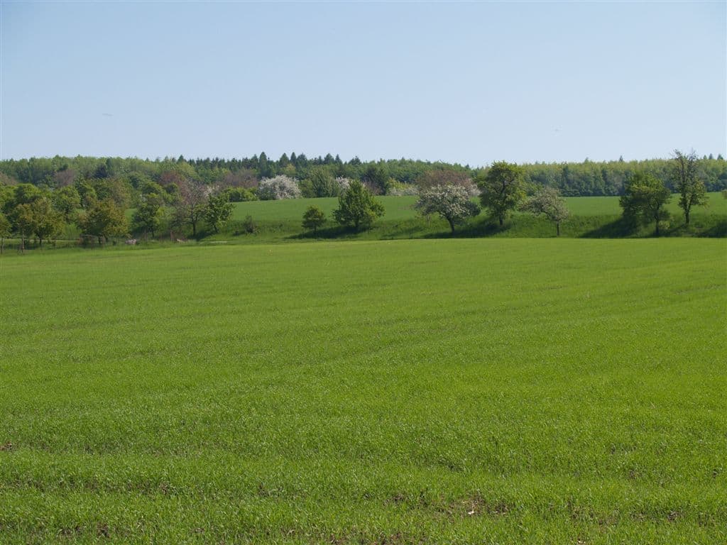 Prodej nebytového prostoru 9.800 m², Přestavlky, Přestavlky, Olomoucký kraj Prodej nebytového prostoru 9.800 m², Přestavlky, Přestavlky, Olomoucký kraj
