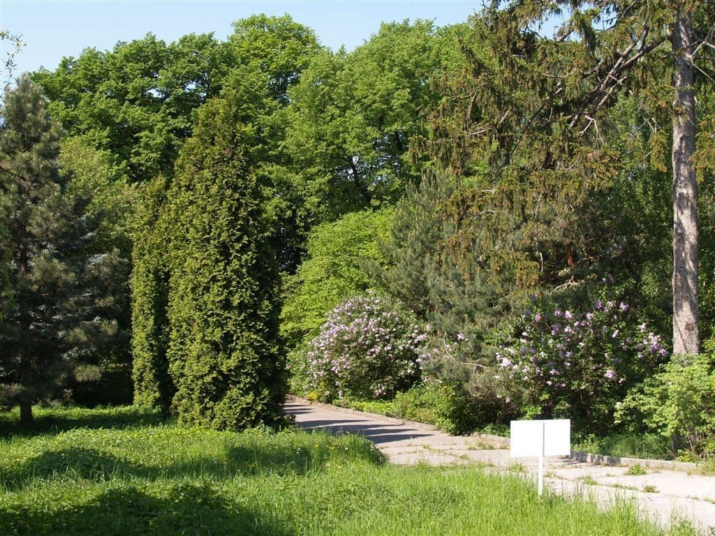 Prodej nebytového prostoru 9.800 m², Přestavlky, Přestavlky, Olomoucký kraj Prodej nebytového prostoru 9.800 m², Přestavlky, Přestavlky, Olomoucký kraj